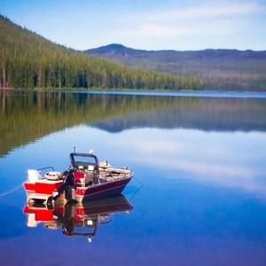 Meet your Posher, Mike